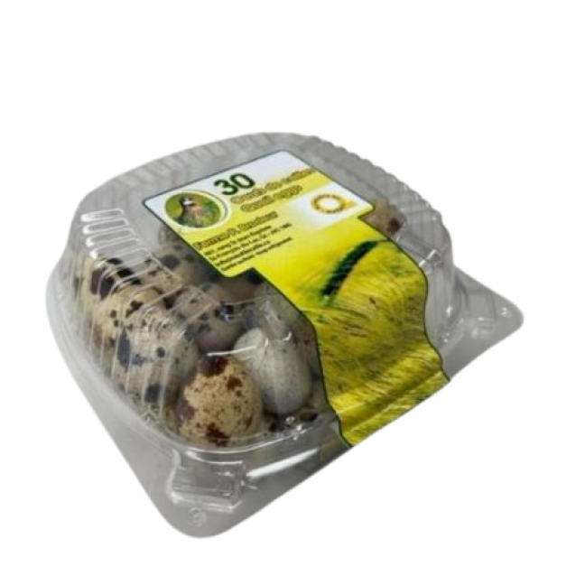Quail eggs