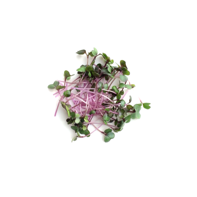 Plateau de fruit 13po avec chocolat