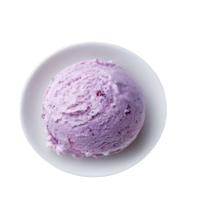 Blueberry Ice Cream