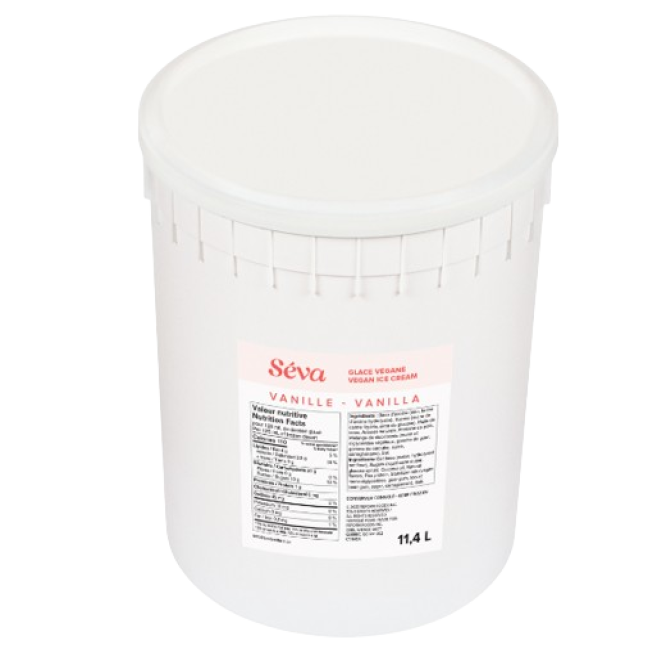 Ice cream vegan vanilla