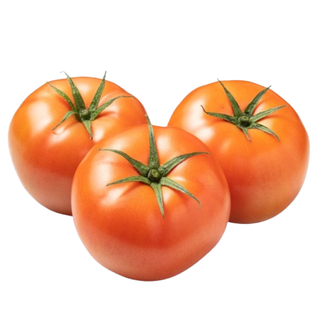 Field tomato