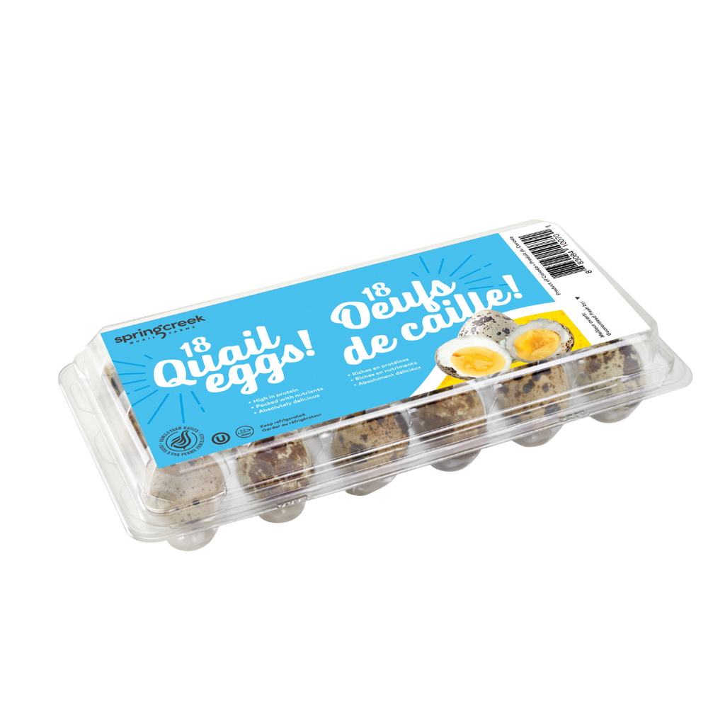 Oeuf de caille 18 un