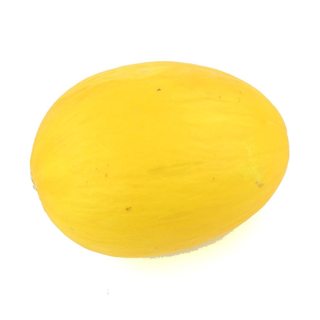 Canary Melon