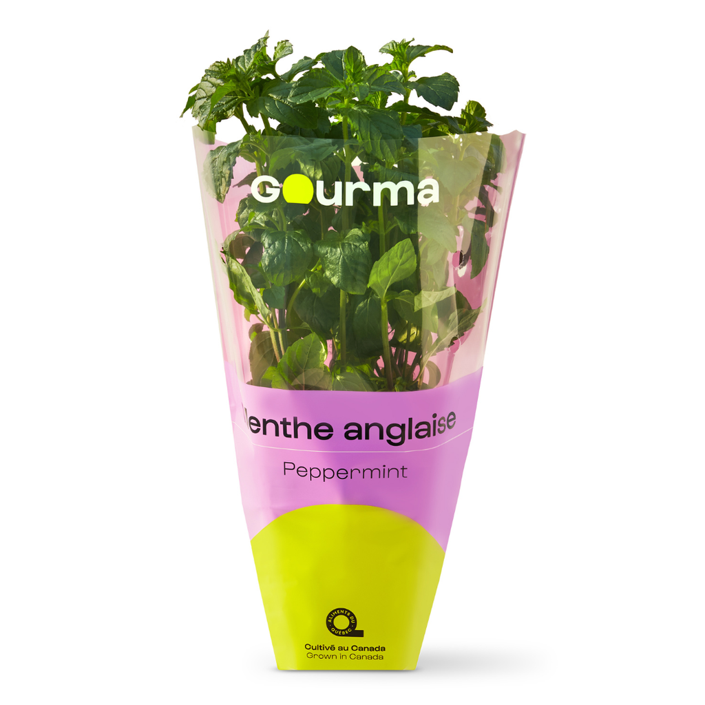 Menthe anglaise