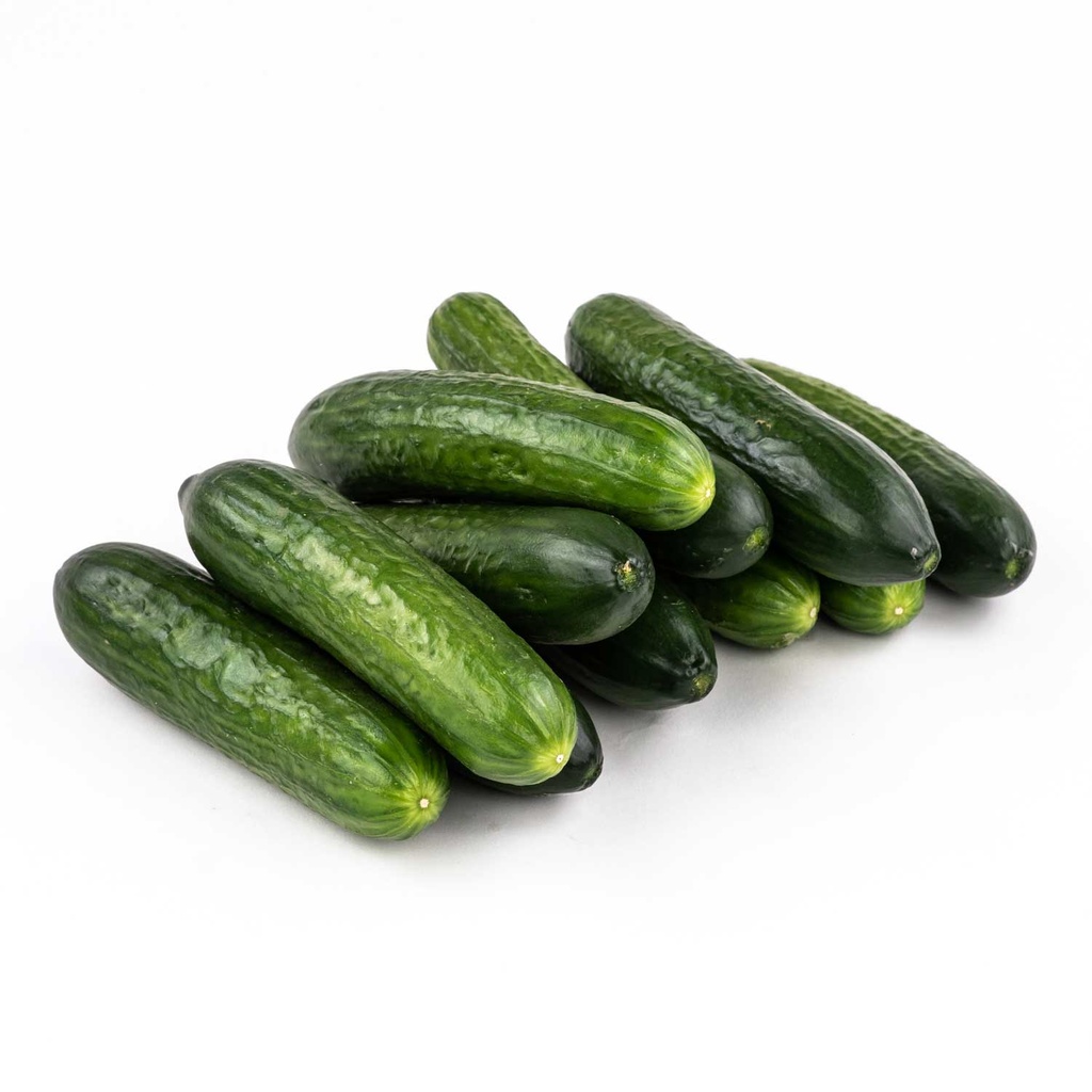 Lebanese Cucumber 907 g