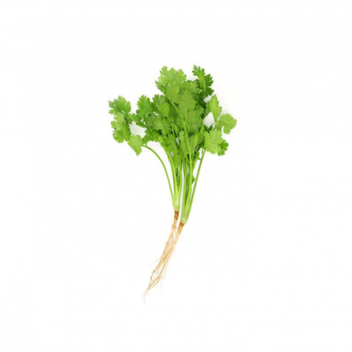 [AUB-1403] Coriander