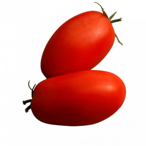 [AUB-10188] Italian tomato roma