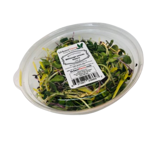 [AUB-15946] Mélange de salade bistro [bol]