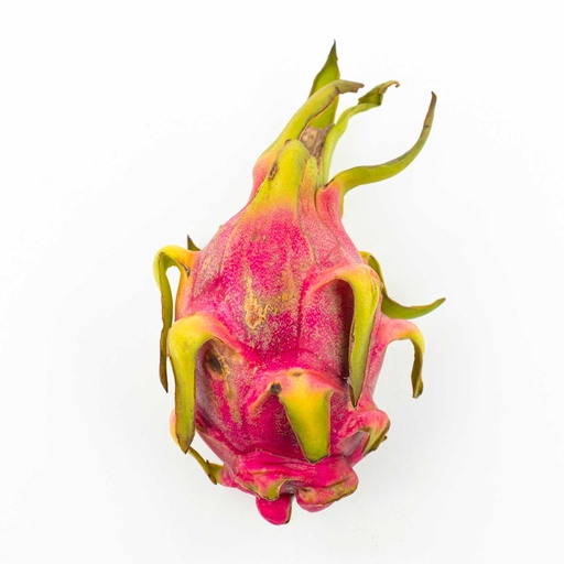 [MAY-03040] Dragon Fruit