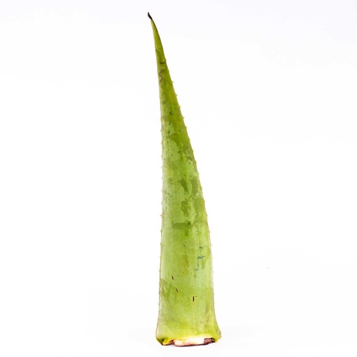 [MAY-03064] Aloe Vera