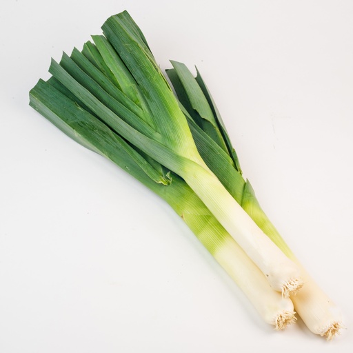 [MAY-04630] Leek