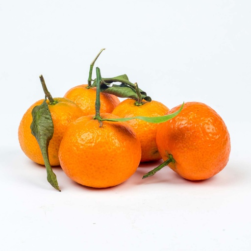 [MAY-10668] Clementine with Leaves